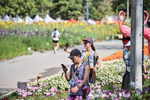 BIB: 
                            <button type="button" onclick="openModal(27794436)" class="btn btn-primary btn-sm float-right btn-popup" data-toggle="modal" data-target=".modal-high-quality">
                        <i class="fas fa-shopping-cart"></i> Add to Cart
                    </button>
                                            <button type="button" onclick="isThisMe(27794436, true)" class="btn btn-success btn-sm float-right btn-popup btn-isme hidden" data-toggle="tooltip" data-placement="bottom" title="นี่คือรูปของคุณใช่ไหม คลิกที่นี่เพื่อเอาเข้าอัลบั้ม">
                        <i class="fas fa-plus"></i> Add to album
                    </button>
                    <button type="button" onclick="isThisMe(27794436, false)" class="btn btn-warning btn-sm float-right btn-popup btn-isnotme hidden">
                        <i class="fas fa-ban"></i> Remove from album
                    </button>